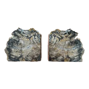 1970s Vintage Petrified Wood Bookends - a Pair