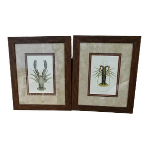 Pair of Unique Designer Shellfish Prints W/Dbl Matting