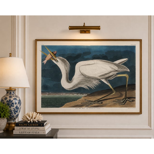 Vintage ornithological artwork reproduced from Birds of America by John James Audubon and refined for modern printing. The...