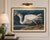 Vintage ornithological artwork reproduced from Birds of America by John James Audubon and refined for modern printing. The...