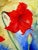 "Red Blossoms 2" Contemporary Botanical Still Life Mixed-Media Painting For Sale