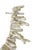 Vintage Natural African White Coral Trade Beads /Currency /Necklace 49 Pieces For Sale - Image 11 of 12