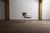 Filo Lounge Chair Model 203 by Odile Mir for Prisunic, France, 1971 For Sale - Image 4 of 18