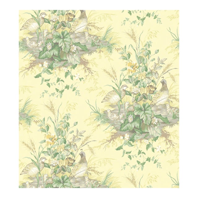 Sample - The House of Scalamandre Edwin'S Covey Wallcovering, Sunlit For Sale