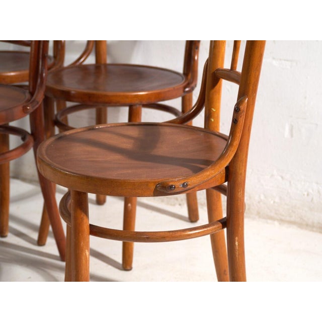 A set of four antique chairs in bentwood, with a curved crest rail over vertical splats and a moulded board seat....