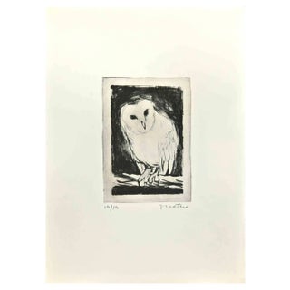 Enotrio Pugliese, Owl, Etching, 1963 For Sale