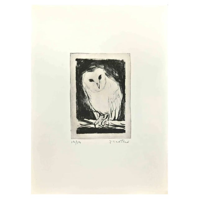 Enotrio Pugliese, Owl, Etching, 1963 For Sale