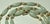 Jade Vintage Barrel Jade & Pearl 14k Beaded 26" Necklace For Sale - Image 8 of 17