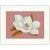 Vintage Magnolia is a limited edition print of 100. Each print comes signed and numbered and is printed on 5 x 7 inch...
