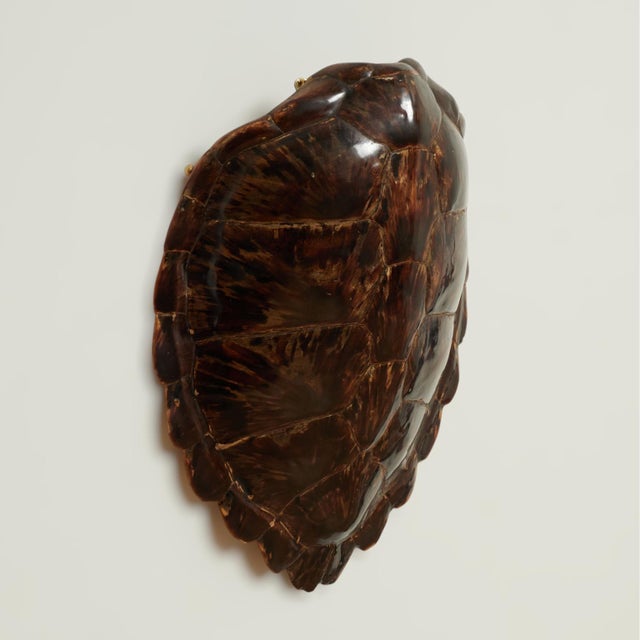 Lofty antique sea turtle shell or carapace with its iconic variegated color scheme and ocean inspired form, polished and...