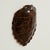 Lofty antique sea turtle shell or carapace with its iconic variegated color scheme and ocean inspired form, polished and...