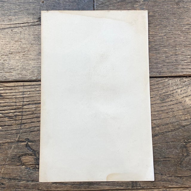 French Antique 18th Century "La Becassine" Bird Engraving Hand Colored Signed Artwork For Sale - Image 11 of 11