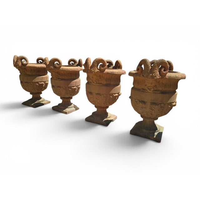 1950s Impruneta Terracotta Urns with Faun Heads and Acanthus Leaves, Italy, 1950, Set of 4 For Sale - Image 5 of 9