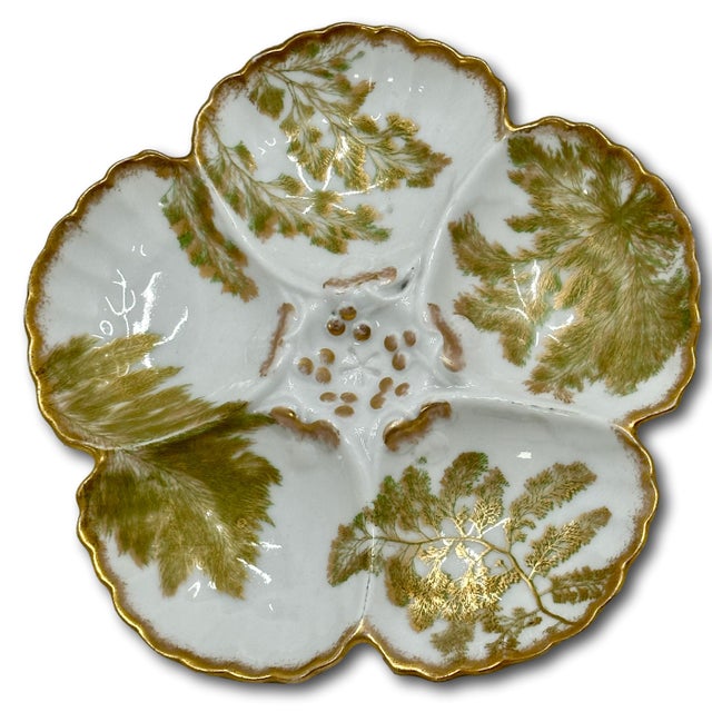 Beautiful & Fine Quality 22k Gold & Ferns Decorated Antique French Limoges Porcelain Oyster Plates Set of 7 For Sale In Boston - Image 6 of 18
