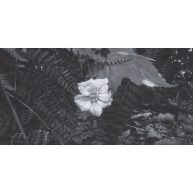 Ferns and Flowering Raspberry by Leah Waichulis | Charcoal on paper Flower and ferns arrangement. For Sale