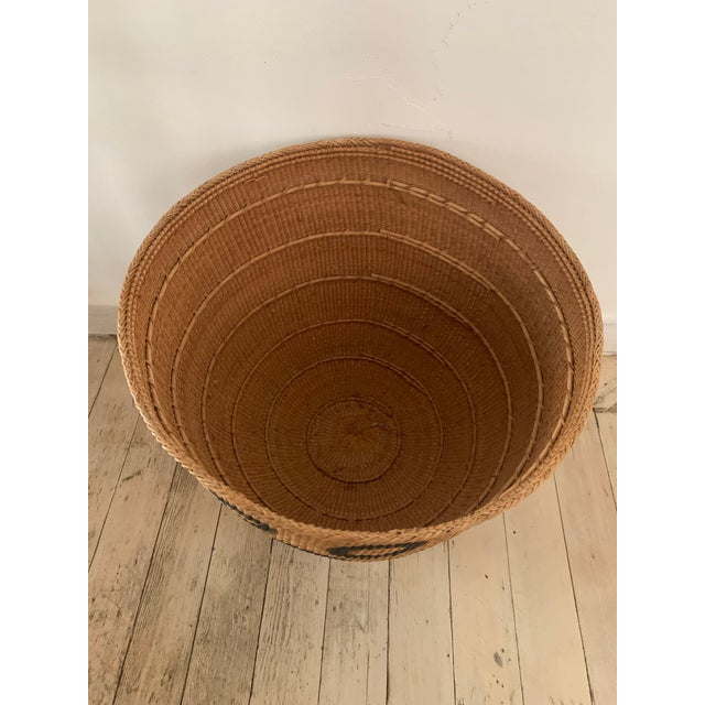 1960s Yanomami Indian Tribal Burden Basket Chairish