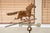 Vintage Copper and Brass Galloping Horse Weathervane on Stand For Sale - Image 4 of 6