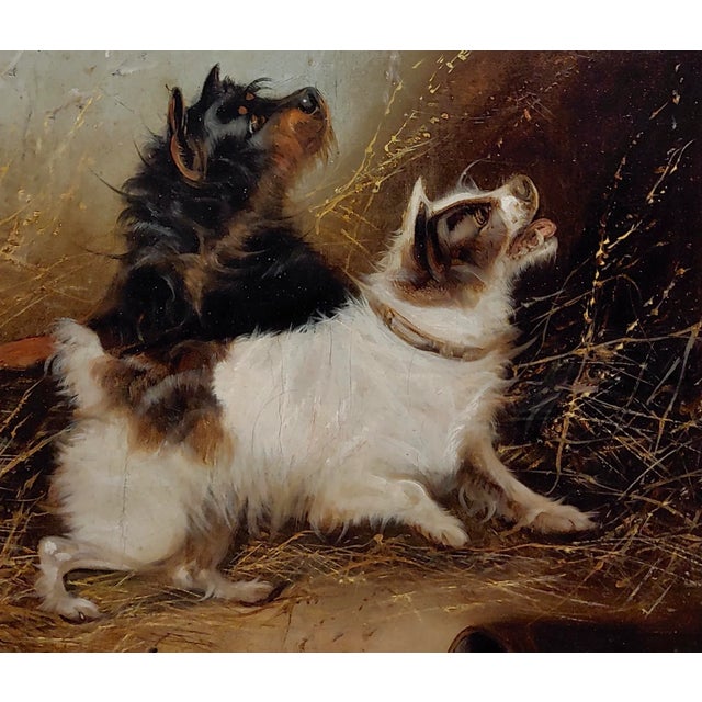 George Armfield - a Pair of Terriers - 19th Century Oil Painting For Sale - Image 4 of 11