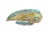 White 19th-Century Qing Dynasty Porcelain Treasure, Leaf-Shaped Divided Dish For Sale - Image 8 of 11