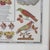 Traditional Pa German Fraktur Taufschein Hand Colored Birth/Baptismal Certificate C1859 For Sale - Image 3 of 14