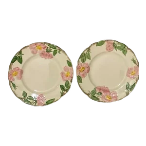 1990s Franciscan Desert Rose (England and Usa Back Stamp) Salad Plates - Set of 2