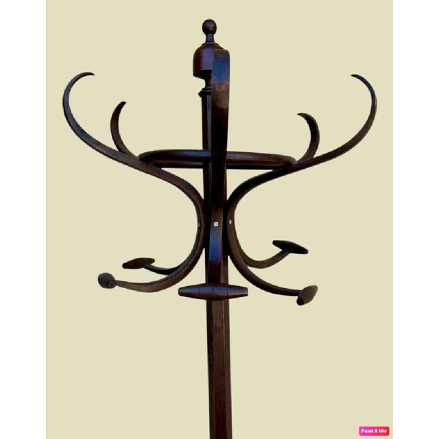 Early 20th Century Coat Stand from Thonet, 1950s For Sale - Image 11 of 18