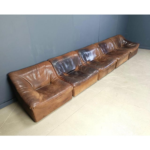 Vintage Bufflao Leather DS46 Modular Sofa from de Sede, 1970s, Set of 5 For Sale - Image 6 of 9