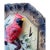 Vintage Cardinal Bird Wall Plaque Lefton C7196 Hand Painted Hanging Decor For Sale In Philadelphia - Image 6 of 9