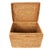 2020s Artifacts Rattan Rectangular Hinged Chest/Trunk in Honey Brown - 23" For Sale - Image 5 of 8