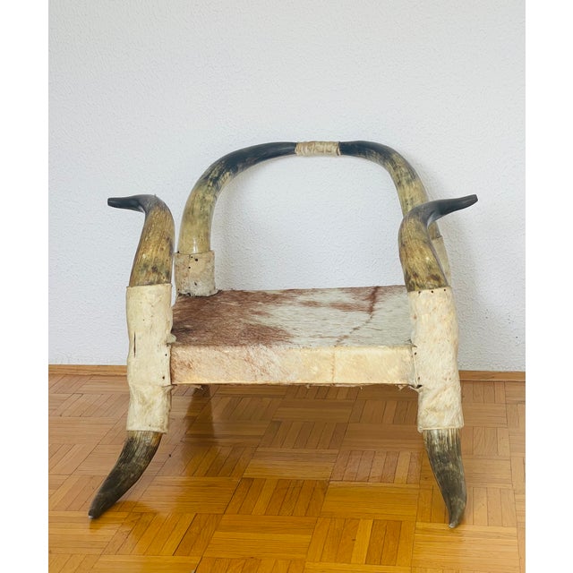 1940s Mid 20th Century Texas Horn Cowhide Low Chair For Sale - Image 5 of 8