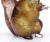 Vintage Seguso Murano Dark Amethyst Gold Flecks Italian Art Glass Squirrel Figurine Paperweight For Sale - Image 9 of 9