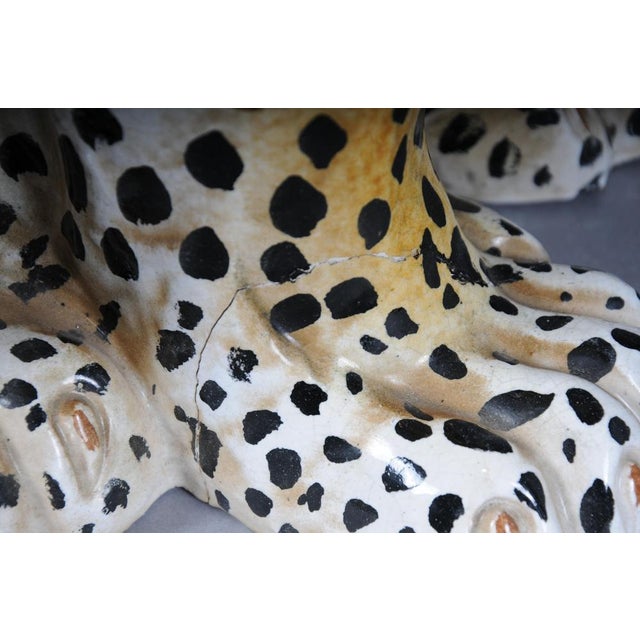 Leopard with Broken Foot For Sale - Image 18 of 18