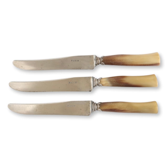 Late 19th century French dining knives with natural stag horn handles and silver mounts, retaining their original ice...