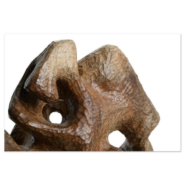 Wood Carved Teak Root Sculpture For Sale - Image 7 of 8