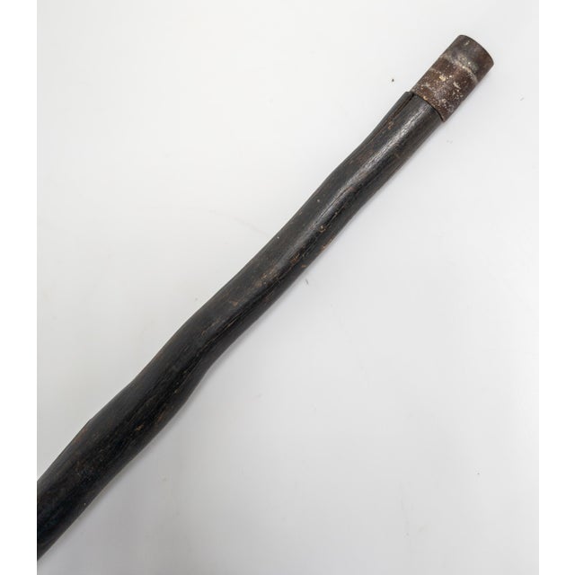 19th Century American Folk Art Carved Bird Eagle Head Cane or Walking Stick For Sale - Image 15 of 18