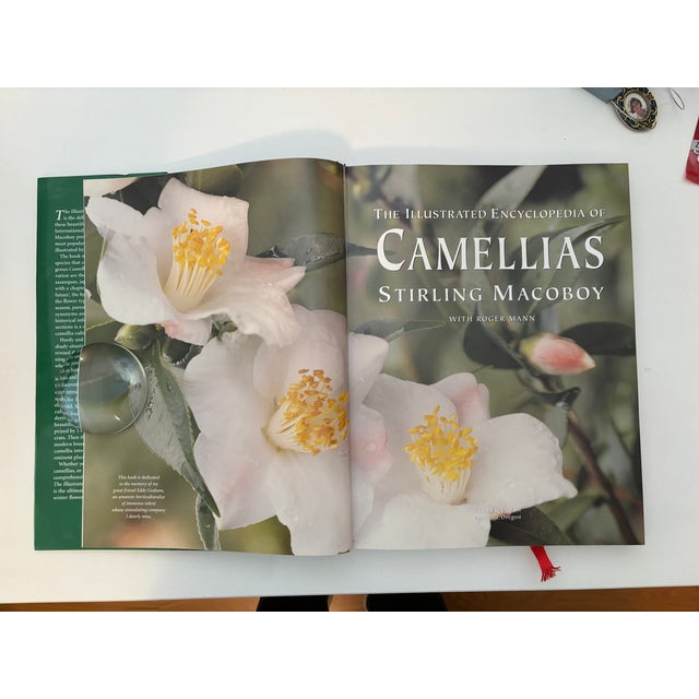 Illustration 1990s Sterling Macaboy"s "The Illustrated Encyclopedia of Camellias" For Sale - Image 3 of 9