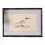 Antique Hand Colored Bird Engraving (C. 1865) | in Contemporary Black Bamboo Frame ( Sandwich Tern) For Sale