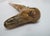 Wood Antique Folk Art Carved Wood Dog Animal & Bearded Man Double Face Walking Stick For Sale - Image 7 of 10