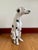 Vintage Chalkware Life Size Dalmatian Statue For Sale - Image 4 of 13