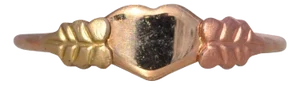 The Dua Two: Tri Color Heart Signet Ring