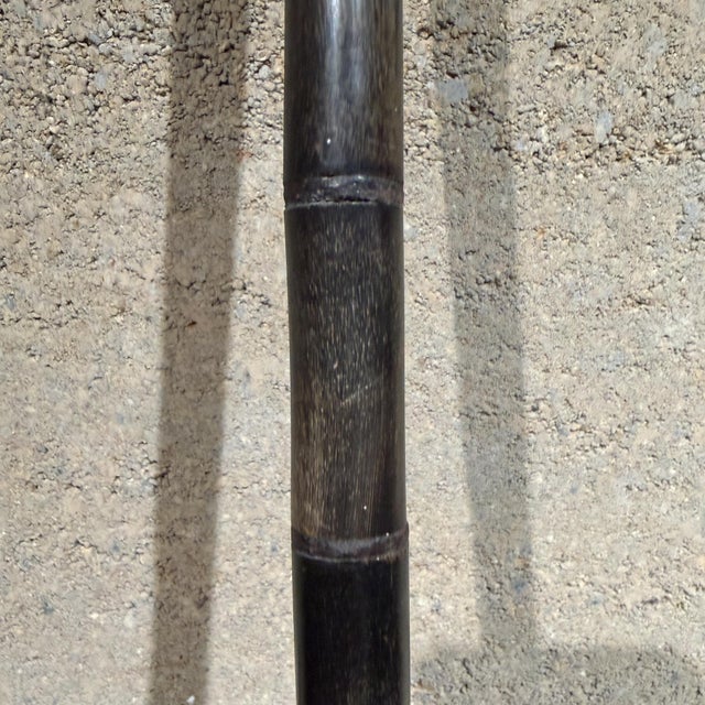 Antique Walking Cane Featuring Shaped Horn Handle Stacked Horn Shaft For Sale - Image 4 of 13