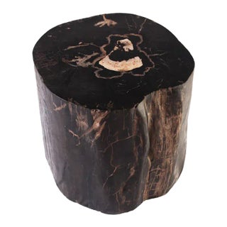 Petrified Wood Stool Accent Table 2 For Sale