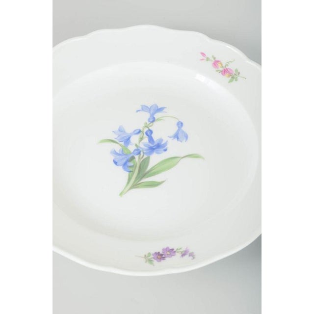 Porcelain Plates with Floral Motifs by Meissen, Germany, 1930s, Set of 2 For Sale - Image 3 of 5