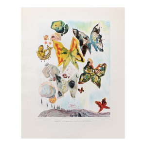 1950s After Salvador Dali "Butterflies", First Edition Swiss Full-Color Print