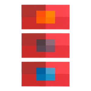 2009 Josef Albers the Interaction of Color Plate Xiv-2