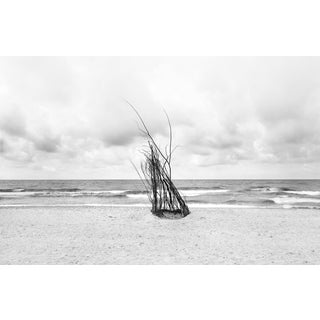 Ugne Pouwell, Shape We Leave Behind, Black and White Fine Art Photograph For Sale