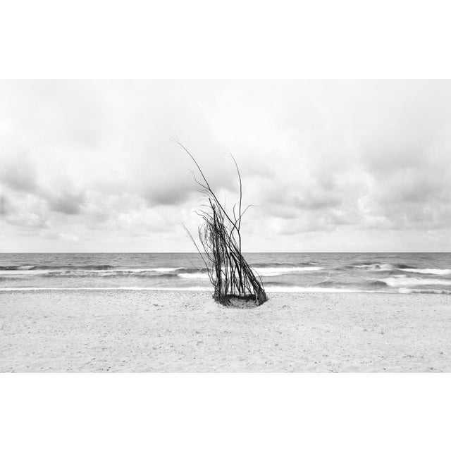 Ugne Pouwell, Shape We Leave Behind, Black and White Fine Art Photograph For Sale