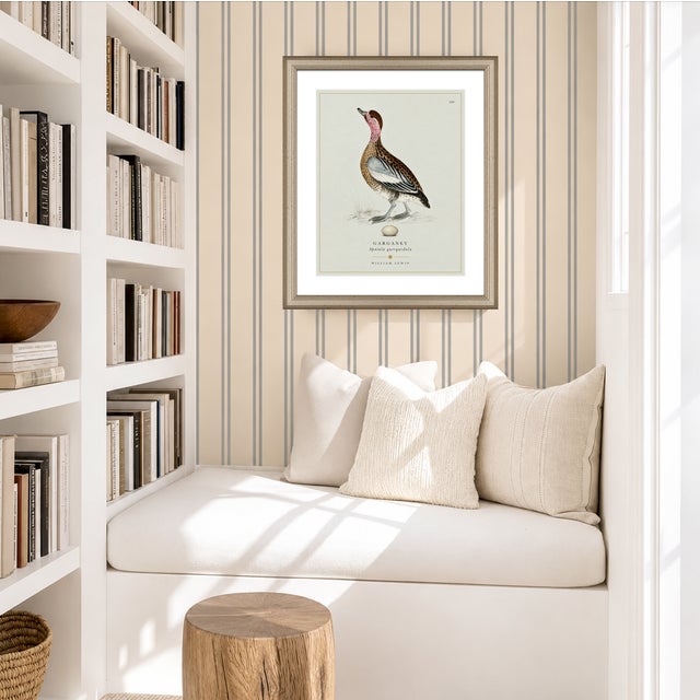 William Lewin 1789 Waterbirds Fine Art Gallery Board Print - The Garganey For Sale - Image 13 of 13