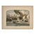 Mississippi River at New Orleans Original Wood Engraving From Picturesque America, 1872 For Sale