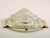 1930s Wall Lights attributed to Atelier Petitot, 1930s, Set of 2 For Sale - Image 5 of 13
